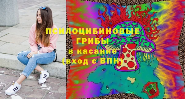 spice Армянск