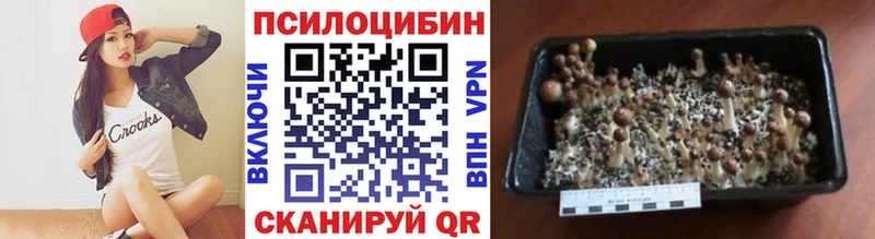 наркотики  мега ссылка  Псилоцибиновые грибы Cubensis  Хилок 